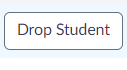 Drop Student 2.png