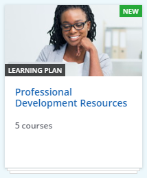 ProfessionalDevelopmentResourcesIcon.png